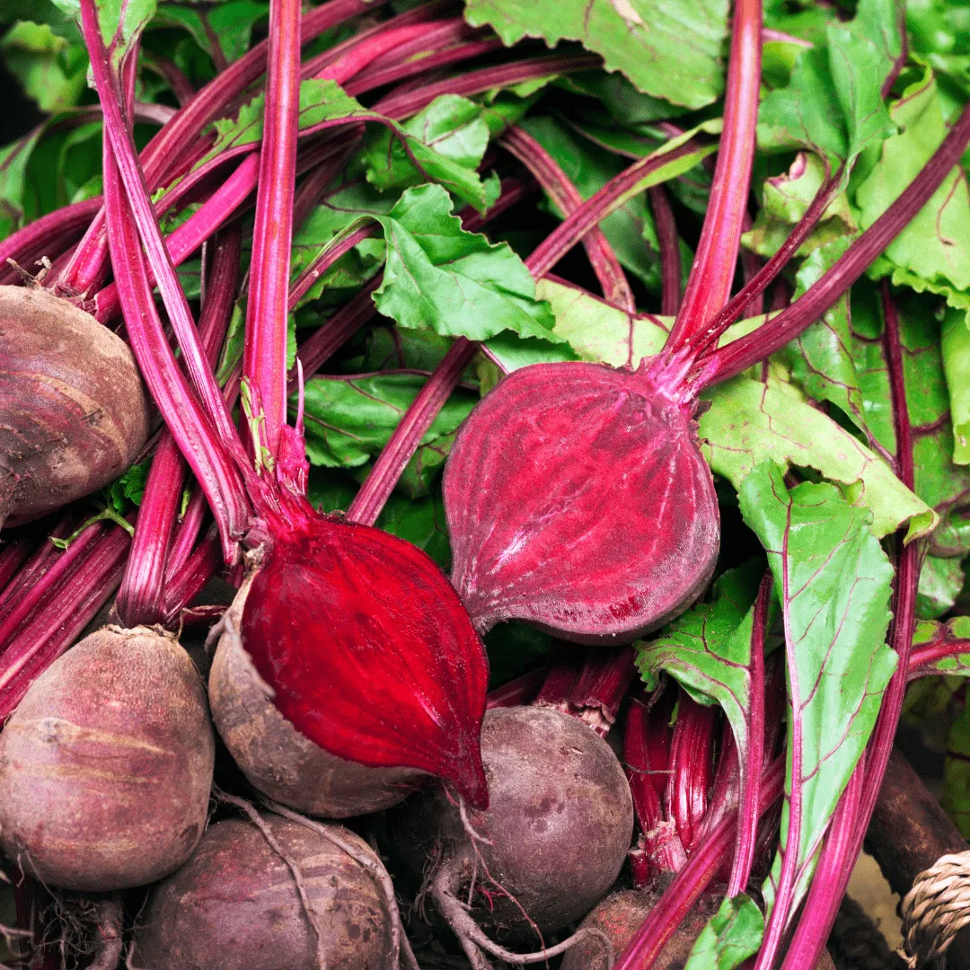 Beet Red Ace Seeds | West Coast Seeds