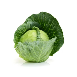 Cabbage Lennox Coated Certified Organic Seeds | West Coast Seeds