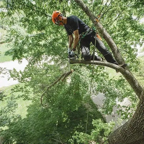 Chainsaw Petrol 1.4𝑘𝑊 MS194T Stihl