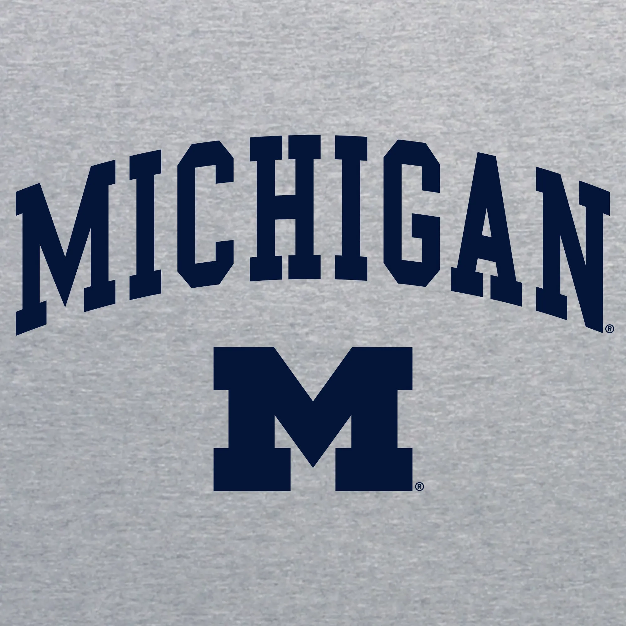 Champion Michigan Arch Logo Long Sleeve - Light Steel